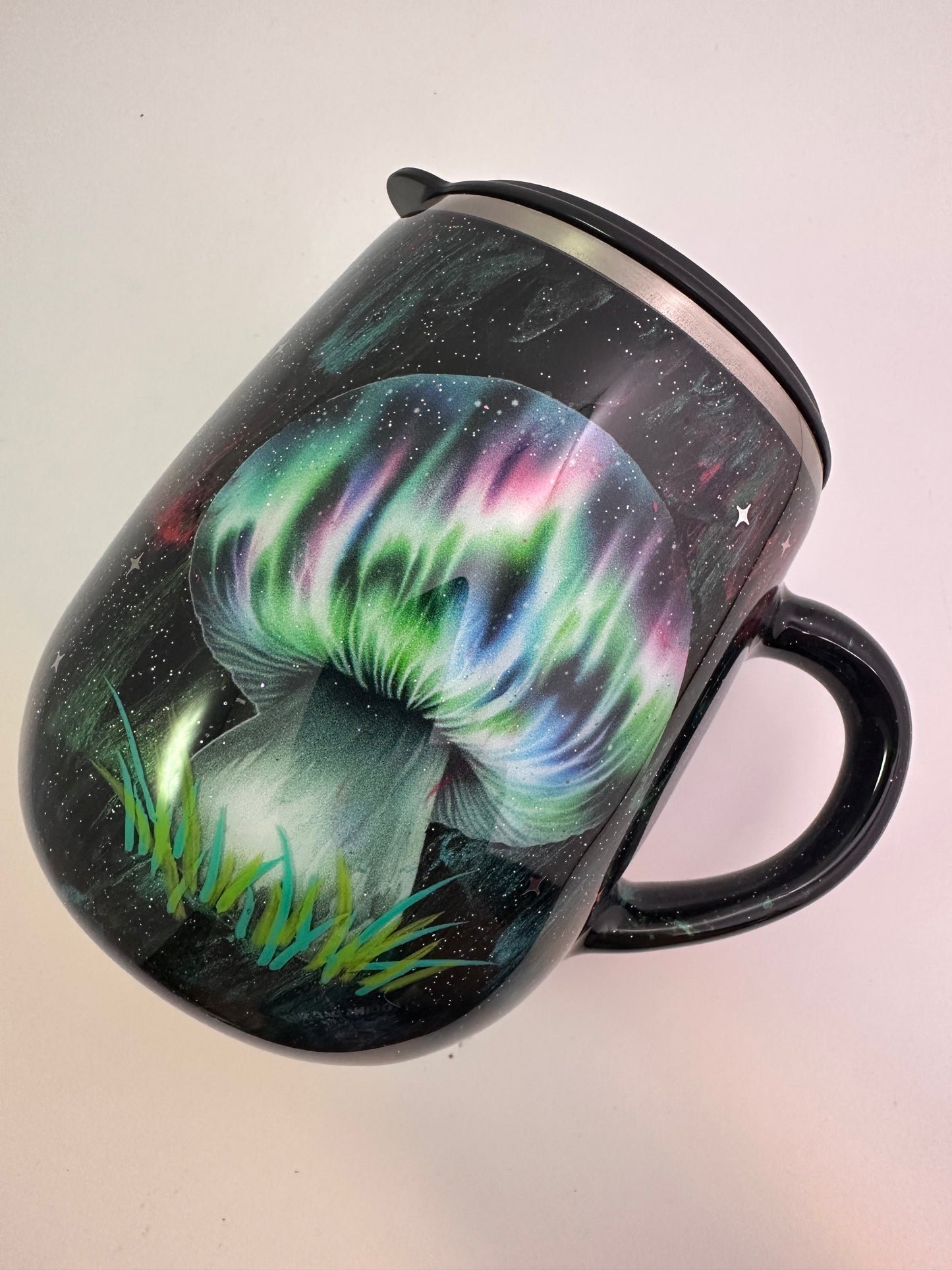 48) Northern Lights Trips